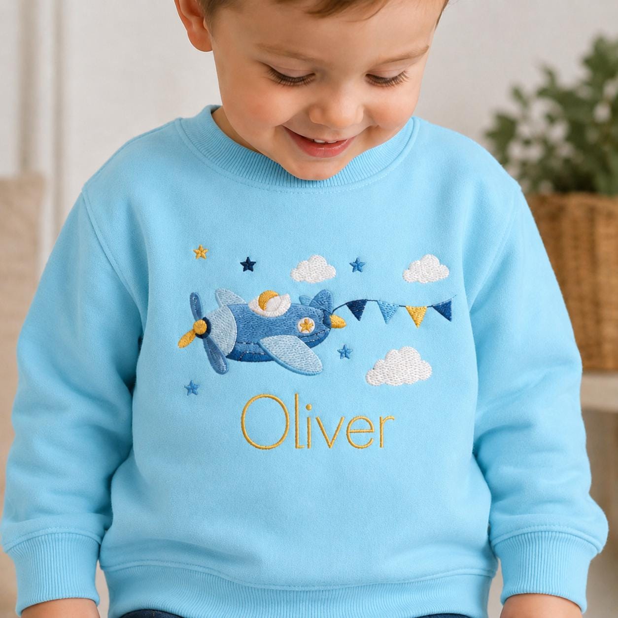 Personalized Airplane Toddler Sweatshirt, Custom Name Embroidered Plane Crewneck, Little Pilot Birthday Gift