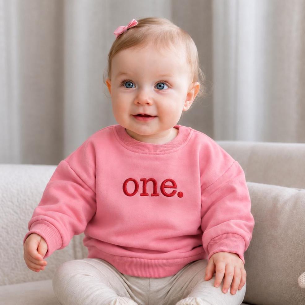 First Birthday Sweatshirt, One Embroidered Baby Sweater, 1st Birthday Outfit, Toddler Birthday Shirt, Personalized Birthday Gift